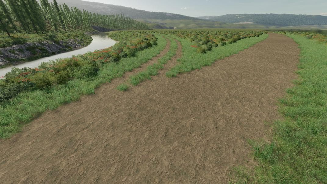 Meadow Springs 2