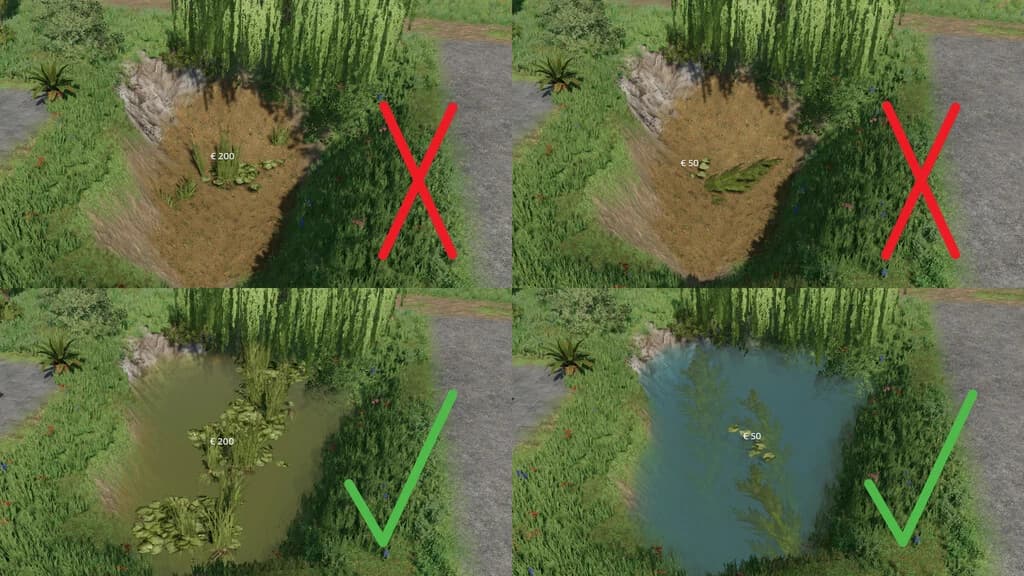 NATURAL WATERPLANTS 5