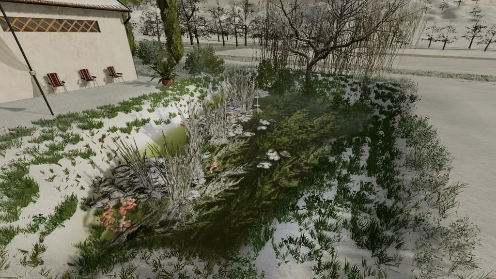 NATURAL WATERPLANTS 4
