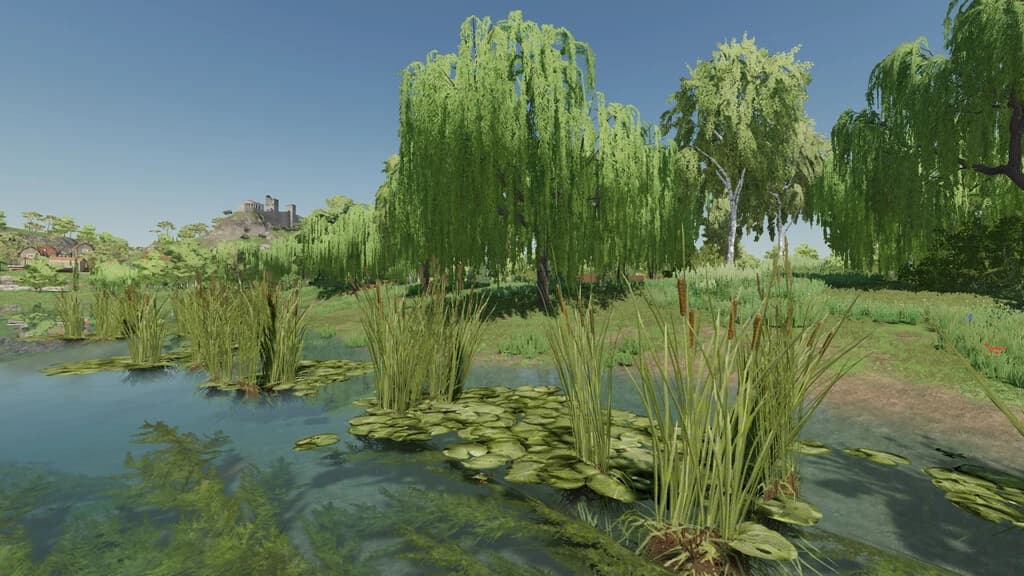 NATURAL WATERPLANTS 3