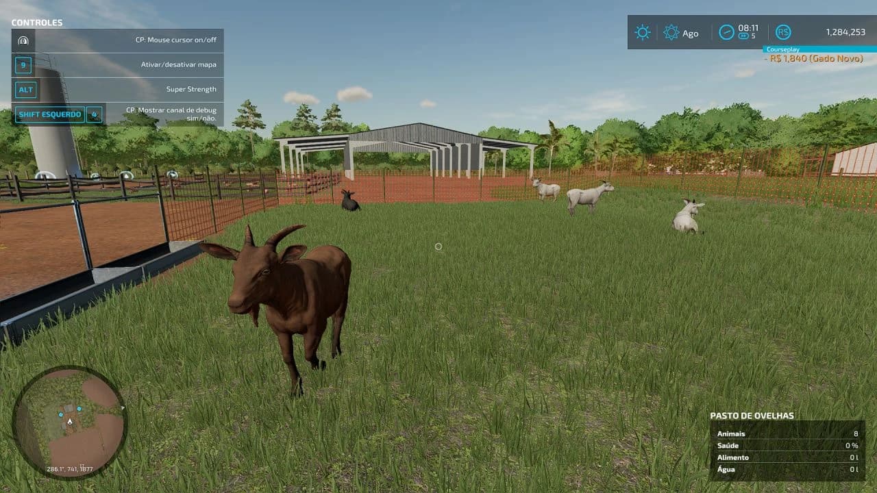 NEW ANIMALS 3