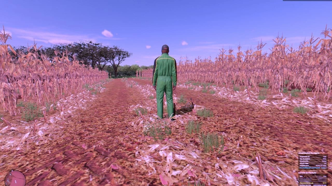 NEW CORN TEXTURE
