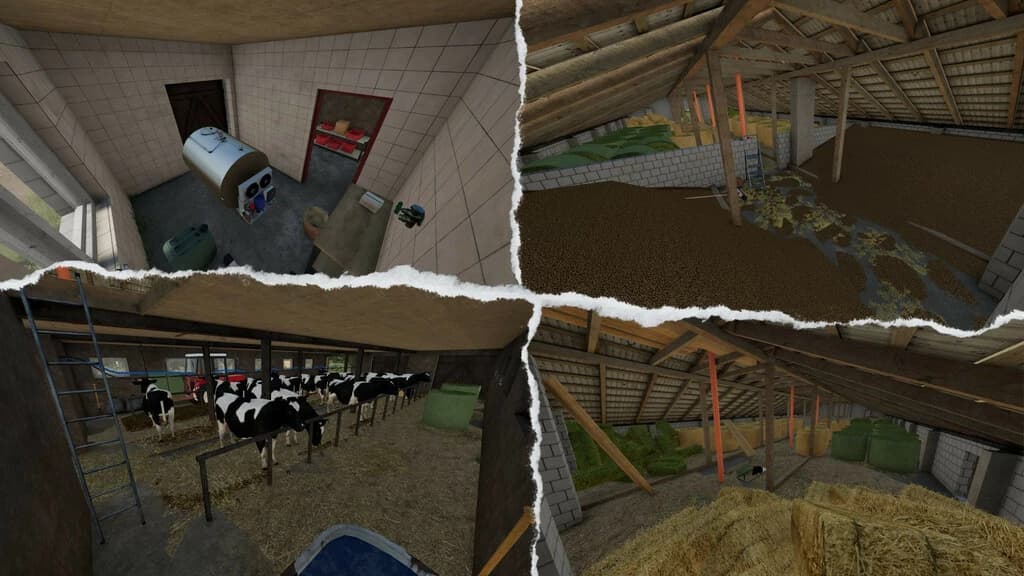 NEW COWSHED 5