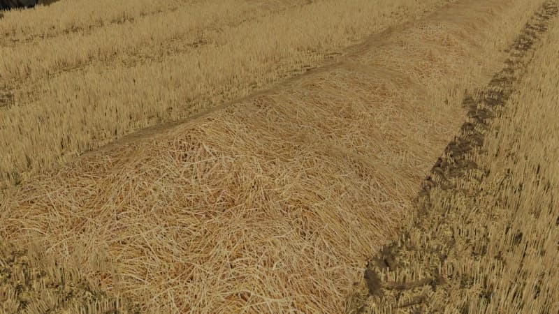 NEW STRAW TEXTURE 2