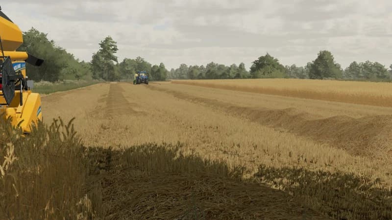 NEW STRAW TEXTURE