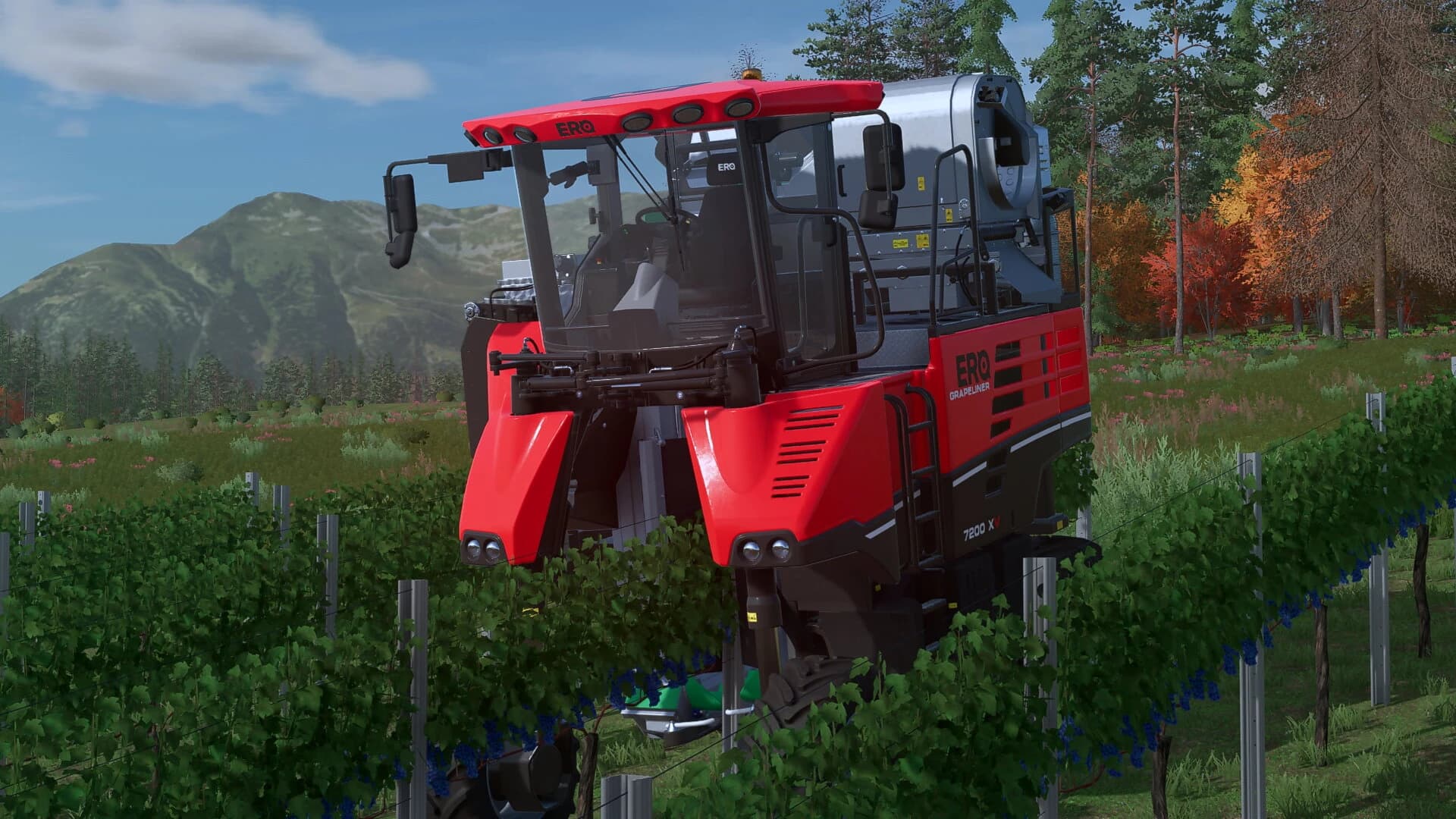 NEW VINEYARD STICKS 2