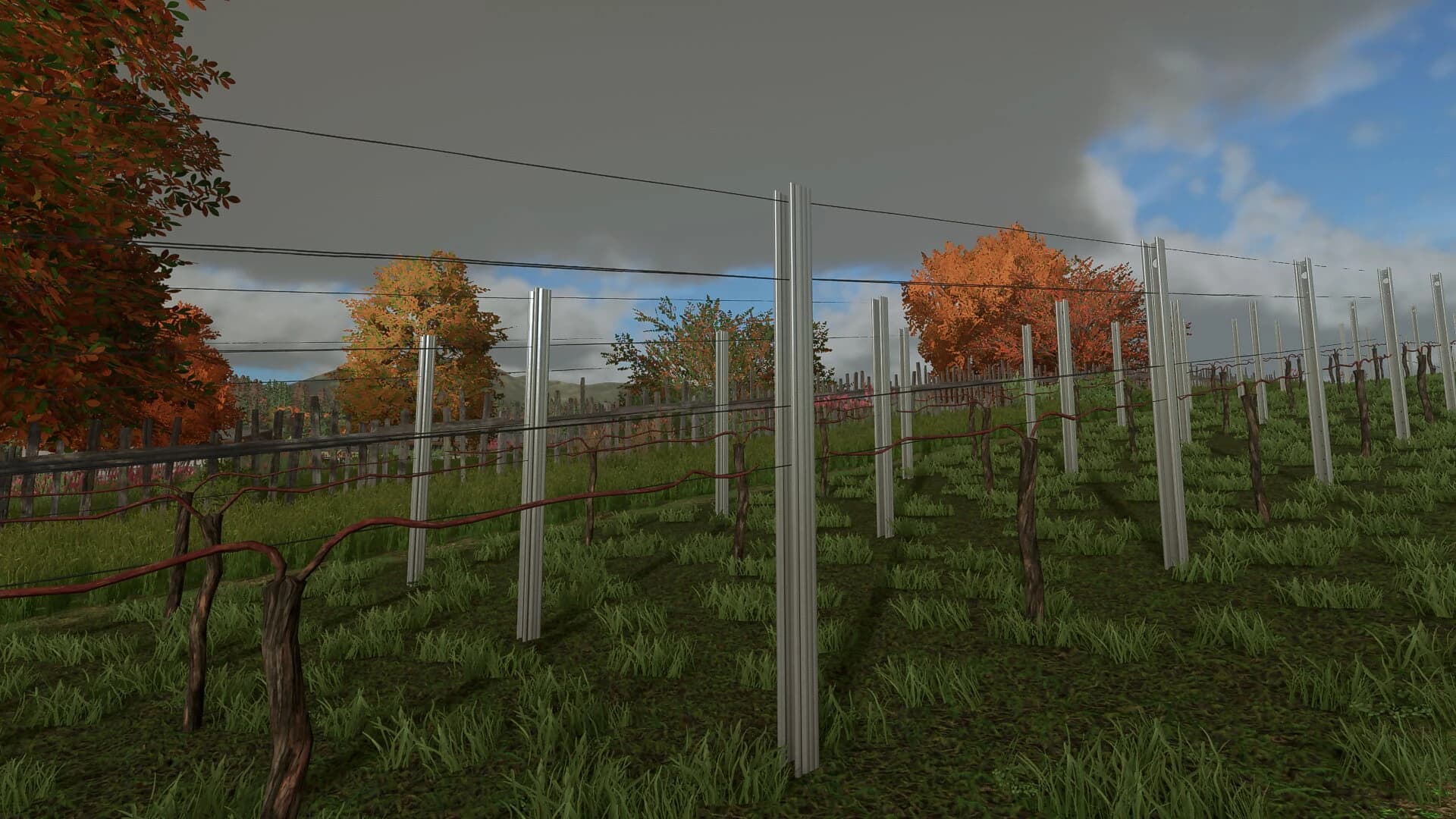 NEW VINEYARD STICKS