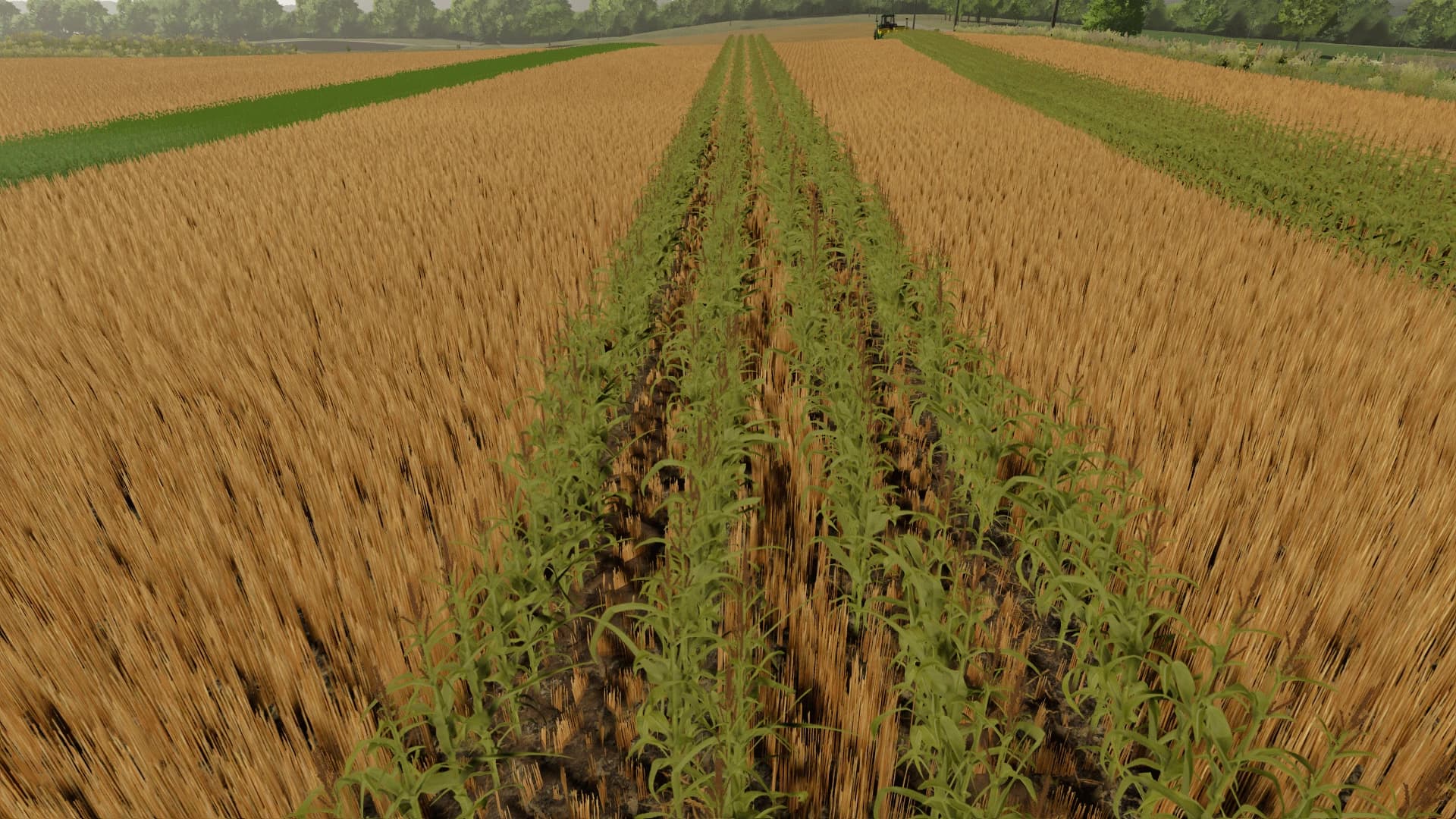 NO CREEK FARMS ROWCROP READY 4