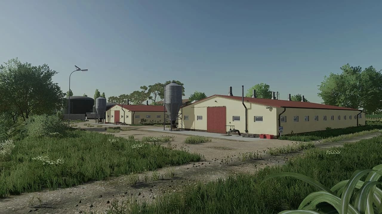 NORTH EAST END PIG EDITION 3