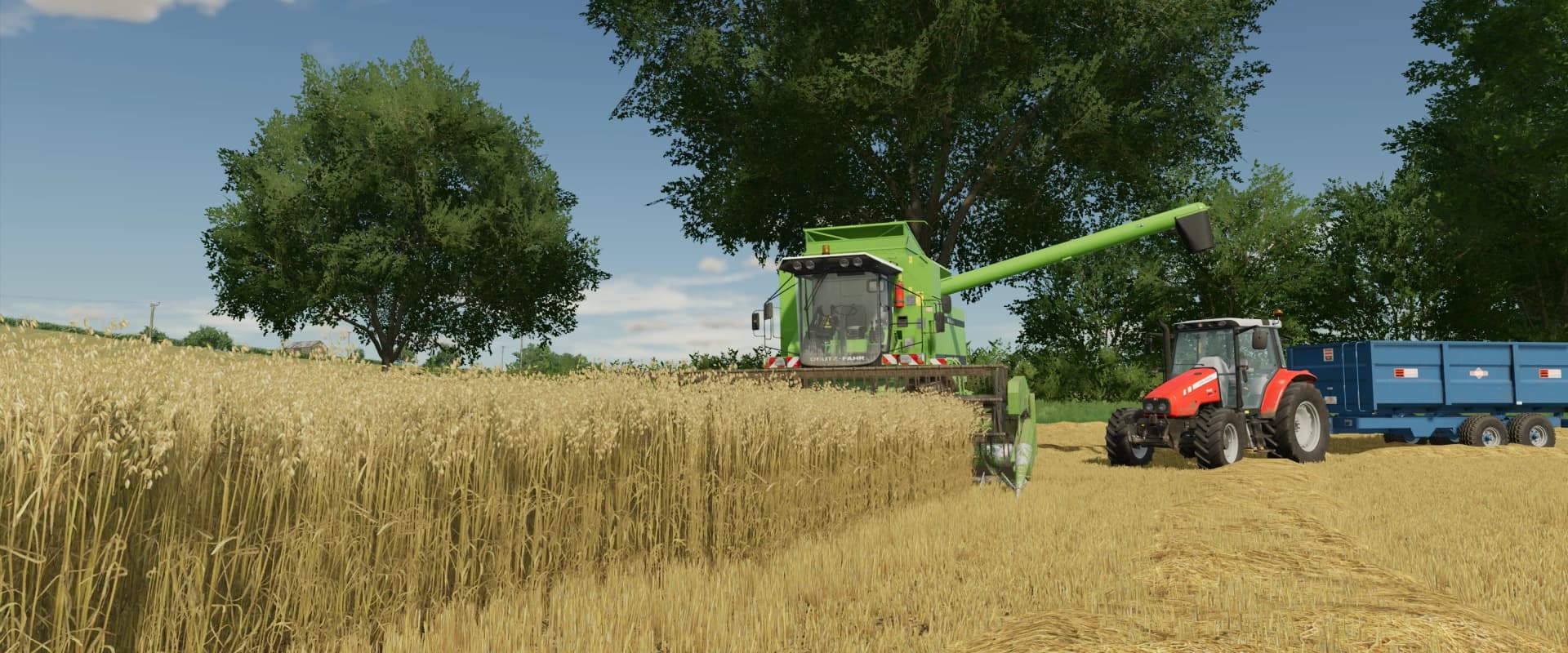 OAT CROP TEXTURES 5