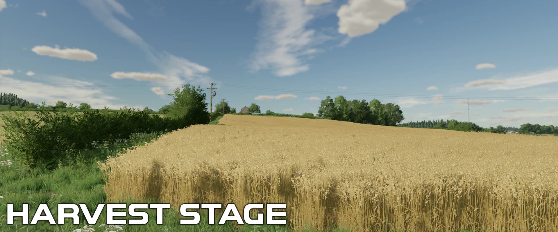 OAT CROP TEXTURES 2