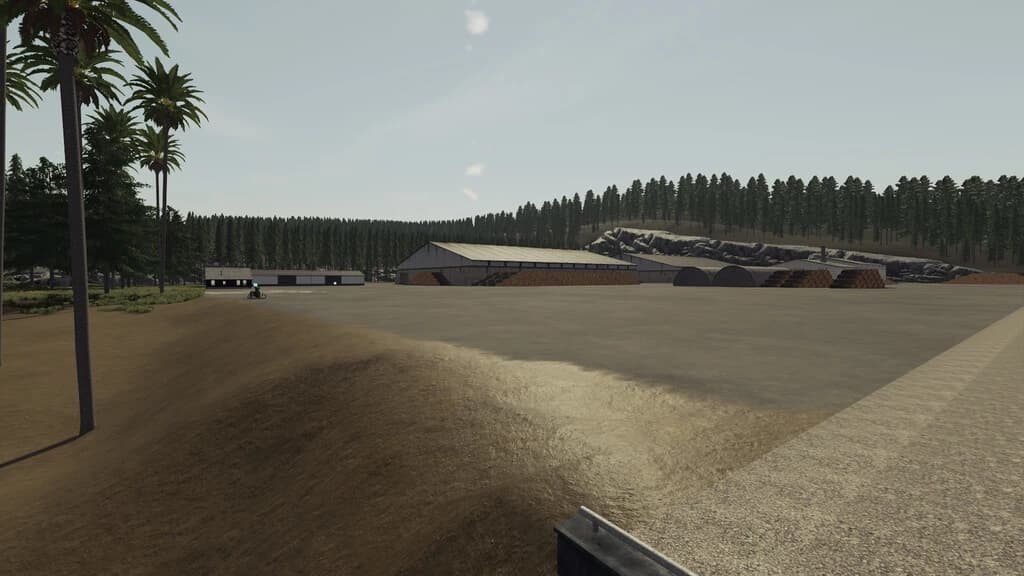 OCEAN SIDE FOREST 2