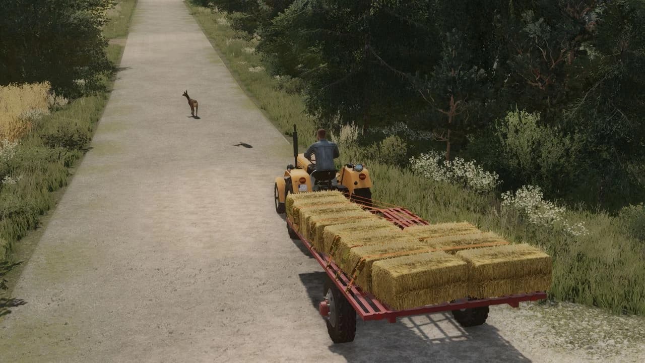 OLD BALE TRAILER 4