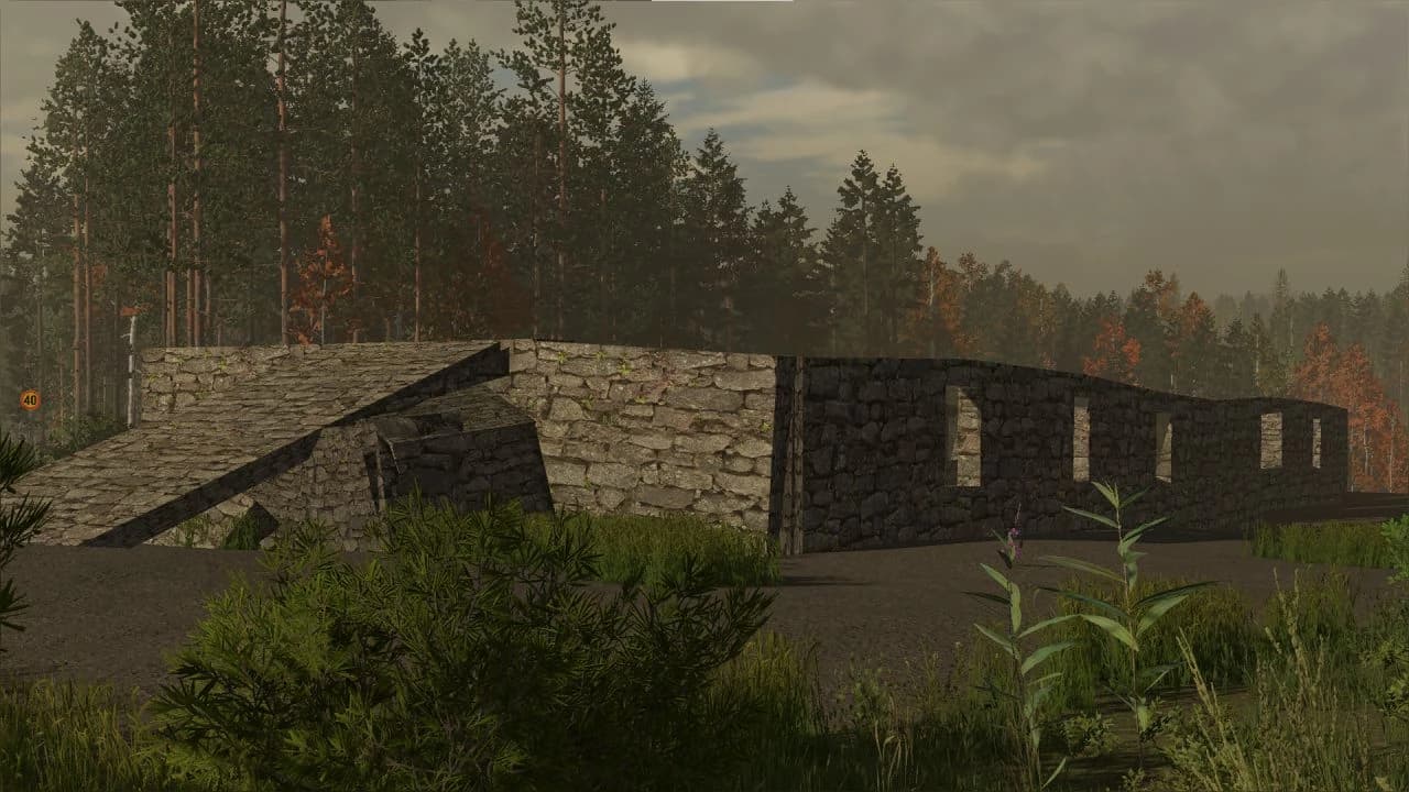 OLD COWSHED RUINE 3