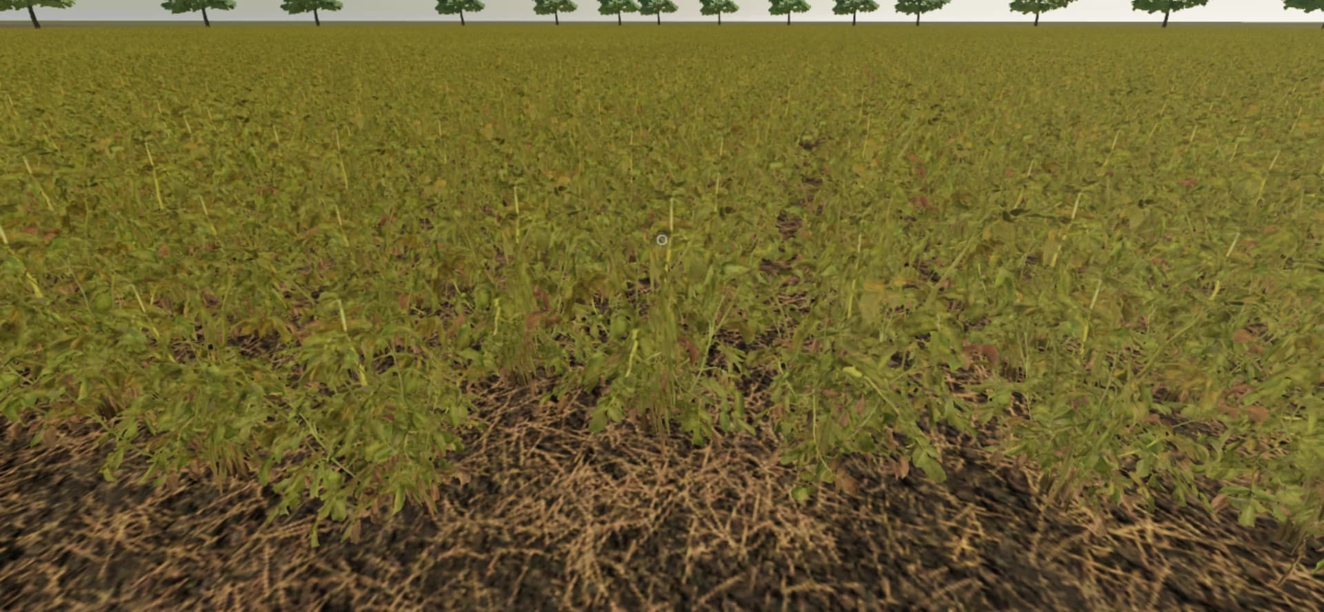 OLD FARM 4
