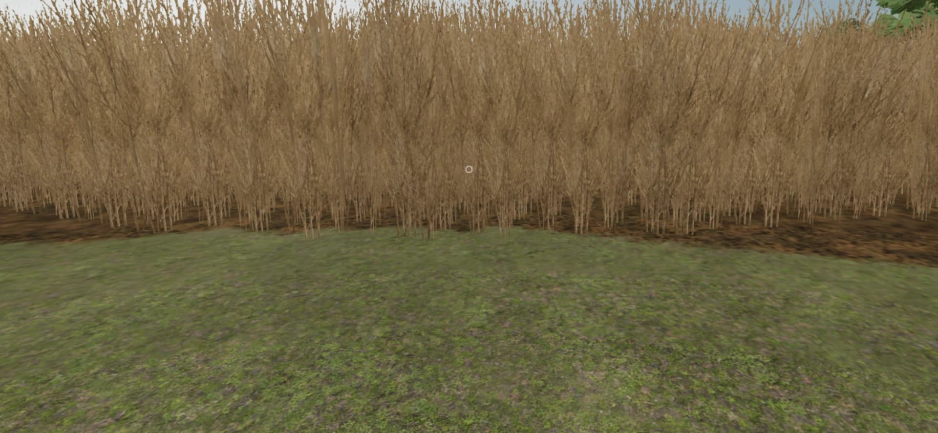 OLD FARM 2