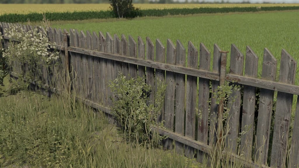 OLD FENCE AND GATE 4