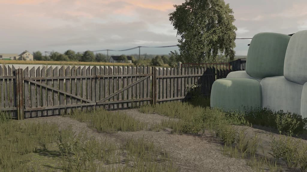 OLD FENCE AND GATE 2