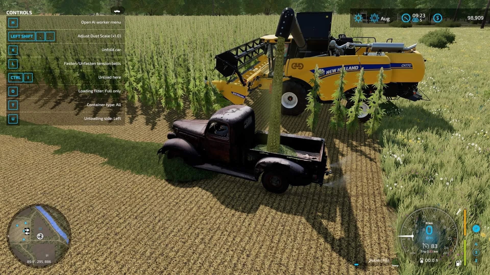 OLD KIWI FARM PRODUCTION 2