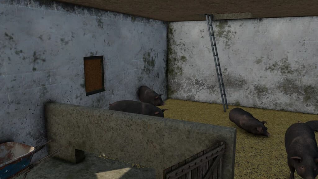 OLD PIGSTY WITH GARAGE