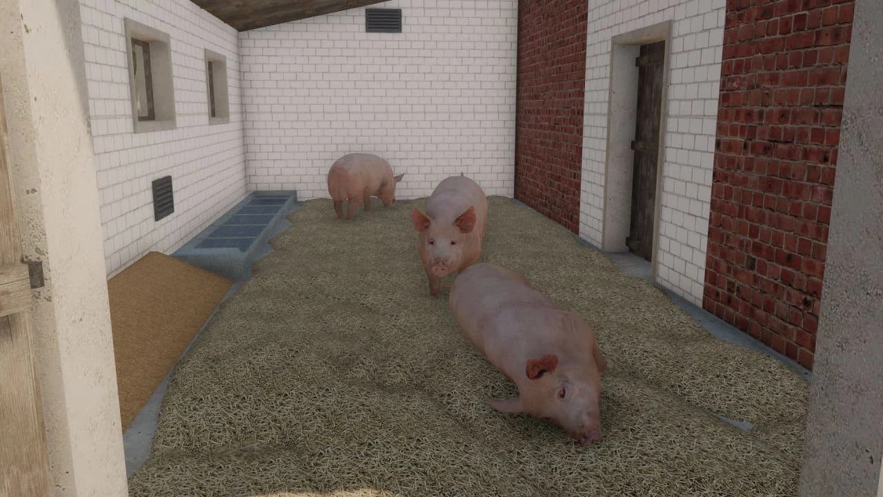 OLD SMALL PIGSTY 2