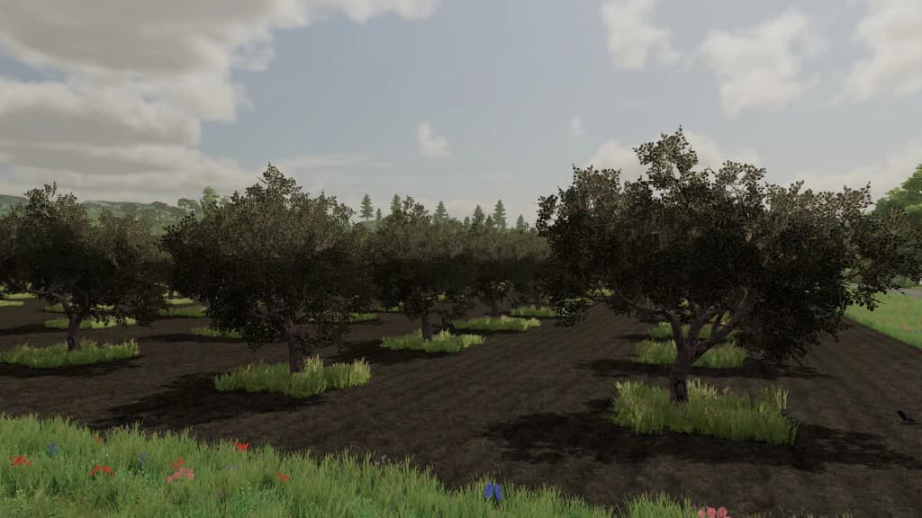 OLIVES + OLIVE PICKER 3