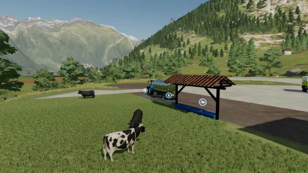 OPEN CATTLE PASTURE 3