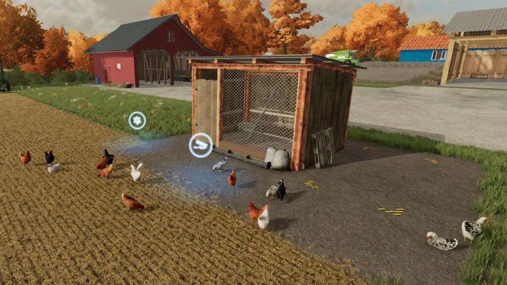 OPEN CHICKEN COOP 4