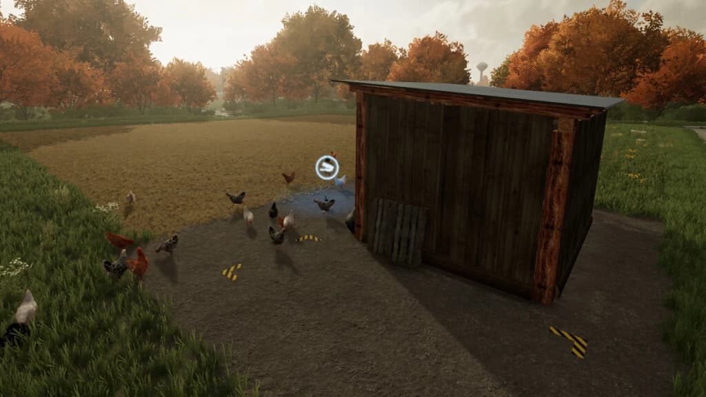 OPEN CHICKEN COOP 3