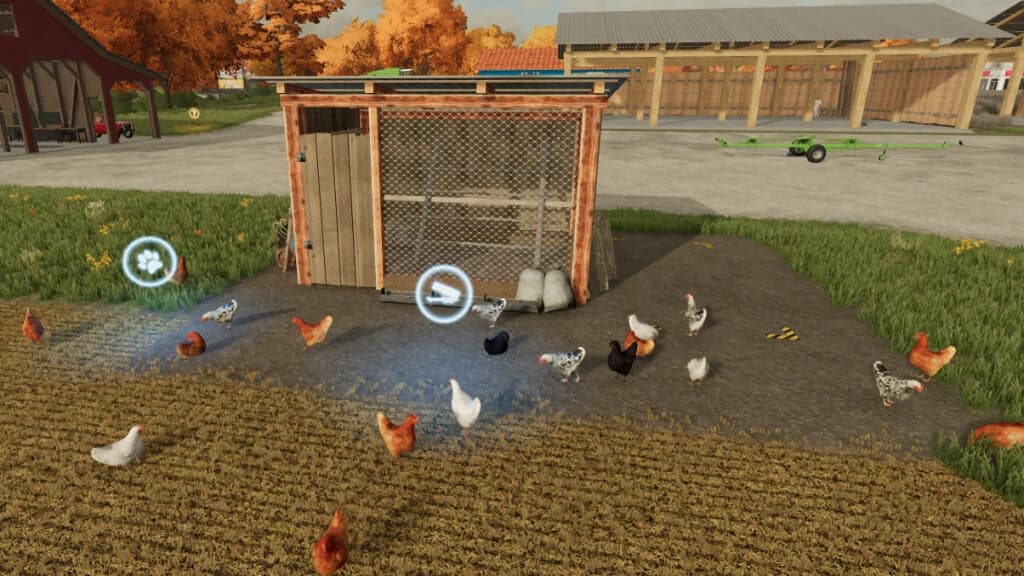 OPEN CHICKEN COOP 2