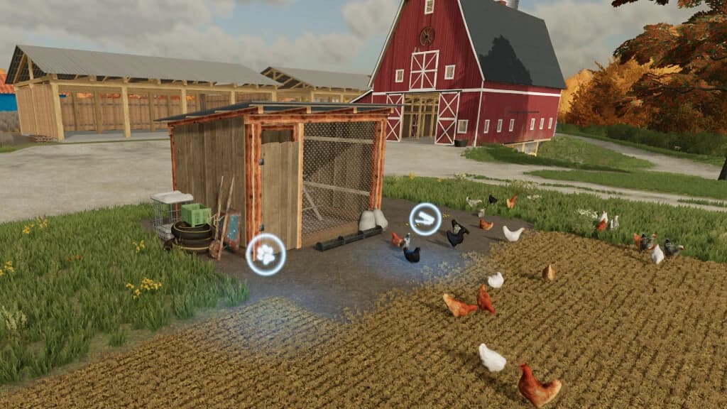 OPEN CHICKEN COOP