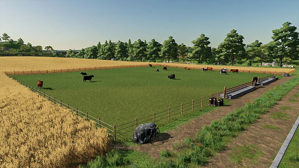 OPEN COW PASTURE 5