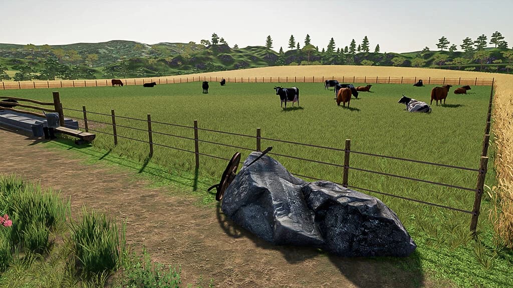 OPEN COW PASTURE 4
