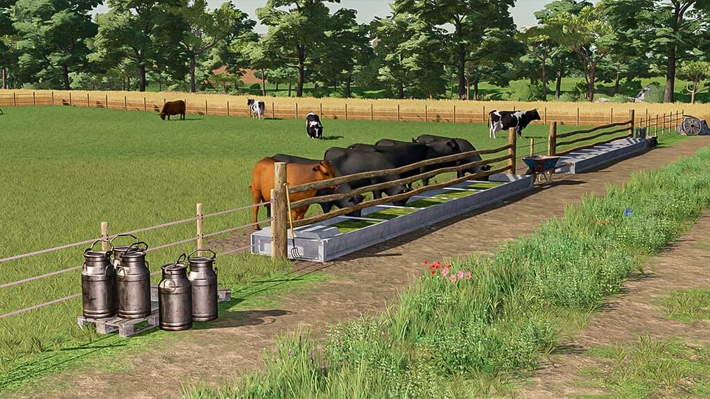 OPEN COW PASTURE 3