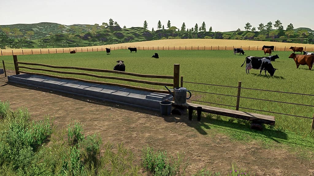 OPEN COW PASTURE