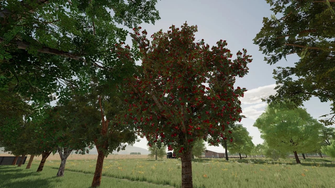 ORCHARDS FRUITS 3