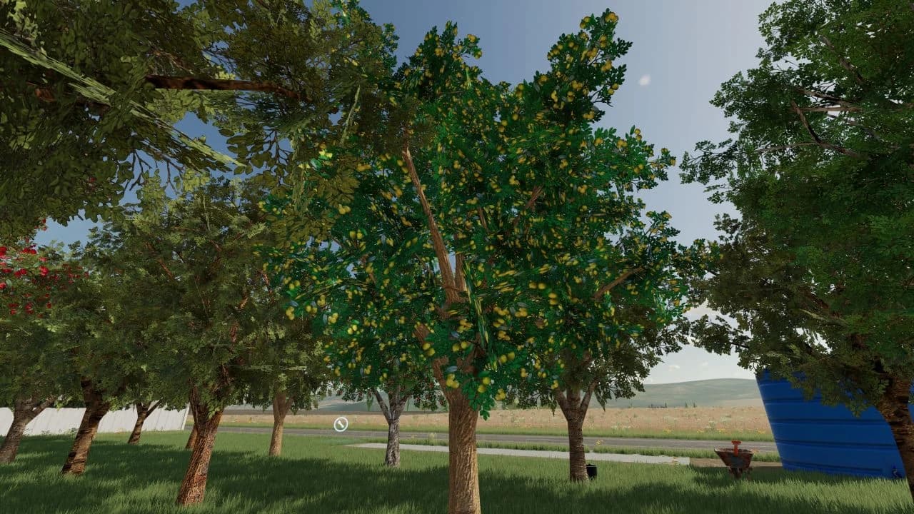 ORCHARDS FRUITS 2