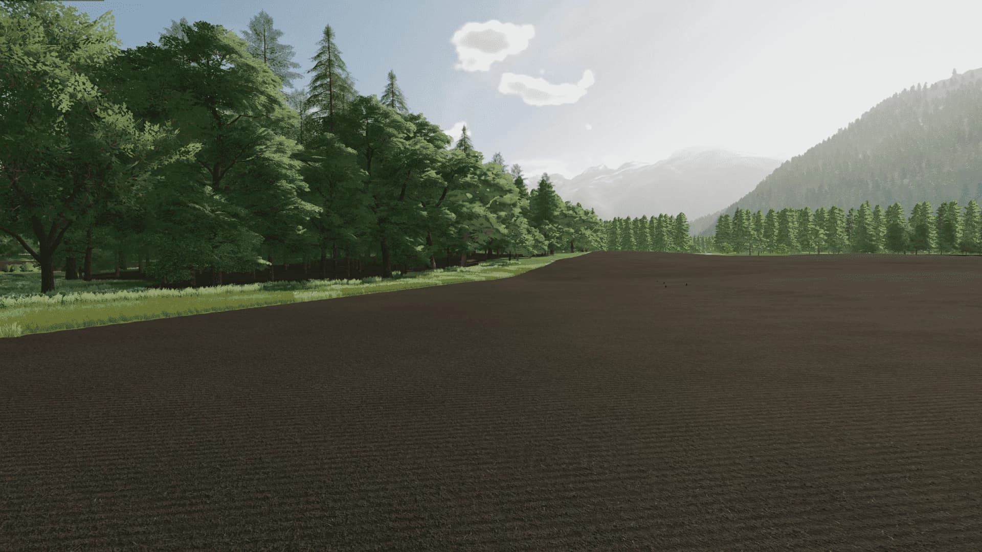 OSIEK MAP