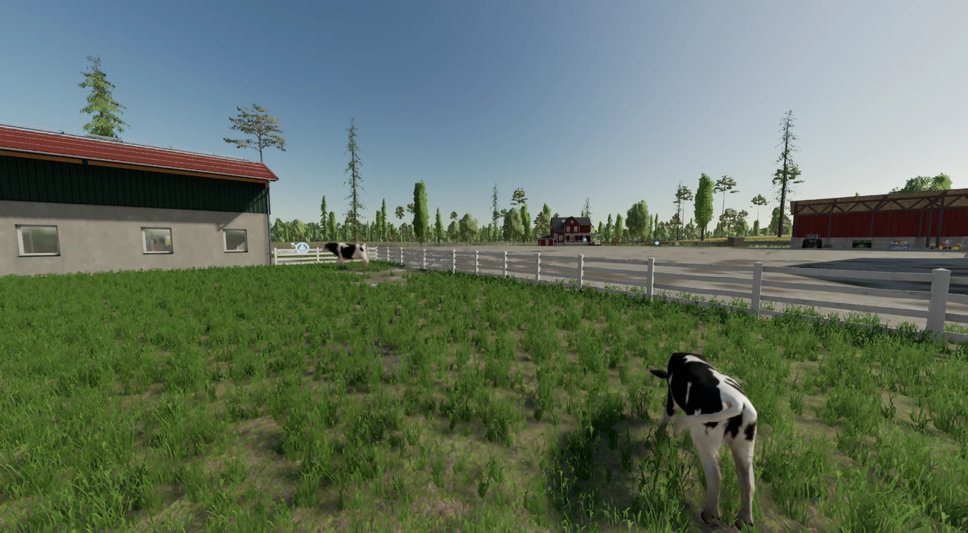 OVER THE DITCH 4