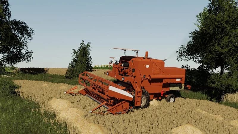 PACK BIZON 2