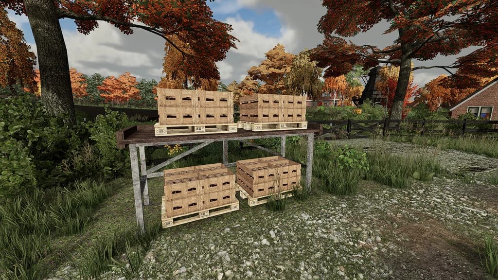 PALLETS SHELF PACK 4