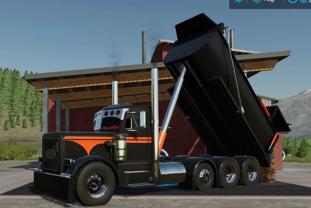 PETE 359 DUMP