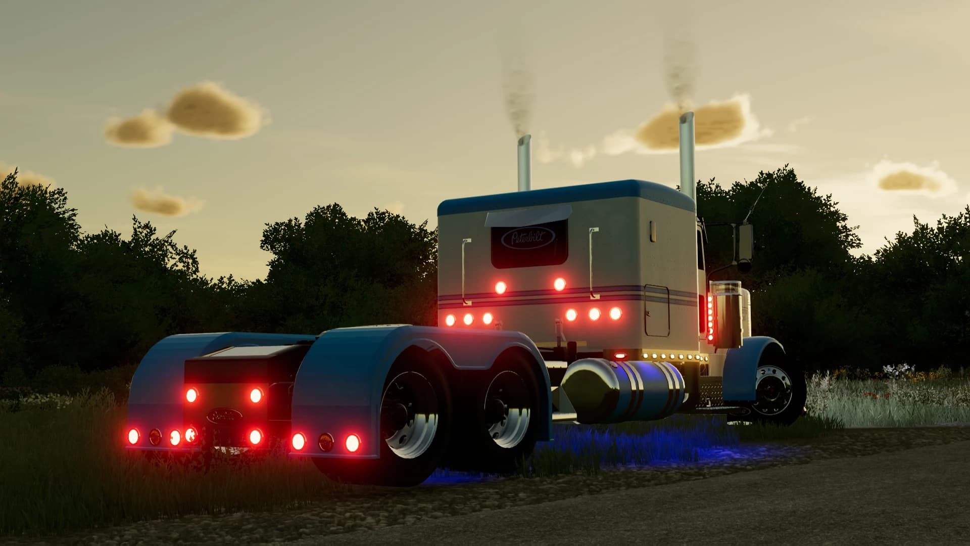 PETERBILT 379 LEGACY 5