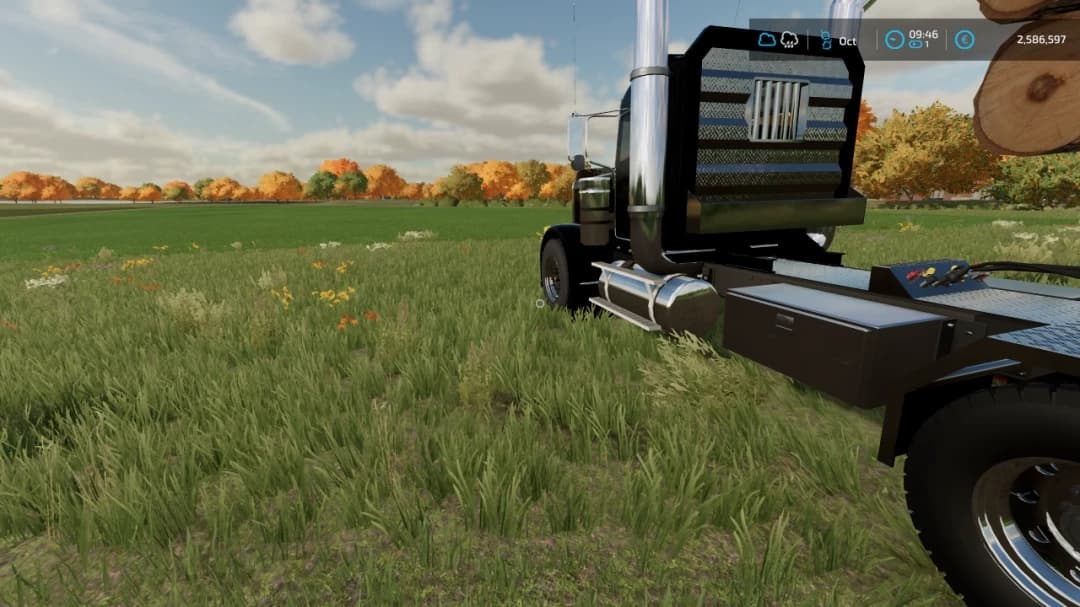 PETERBILT 379B 3