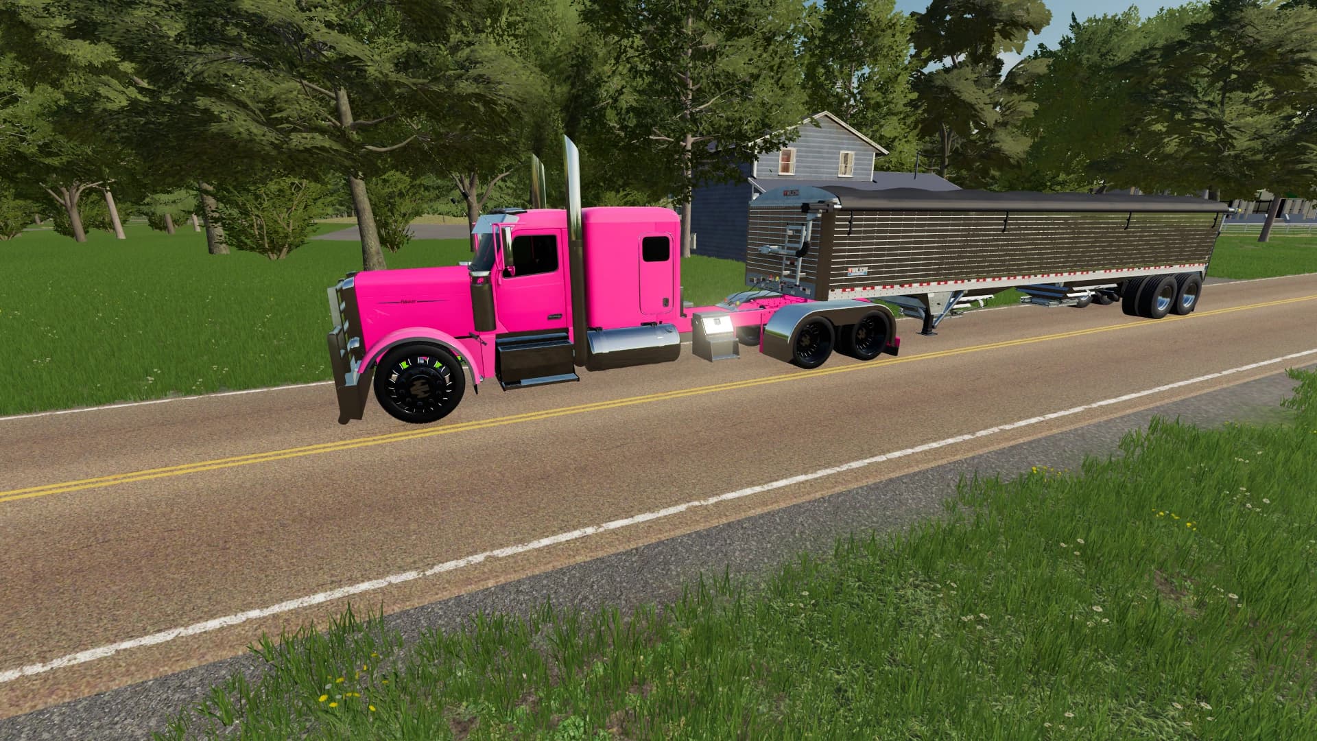 PETERBILT 589 3