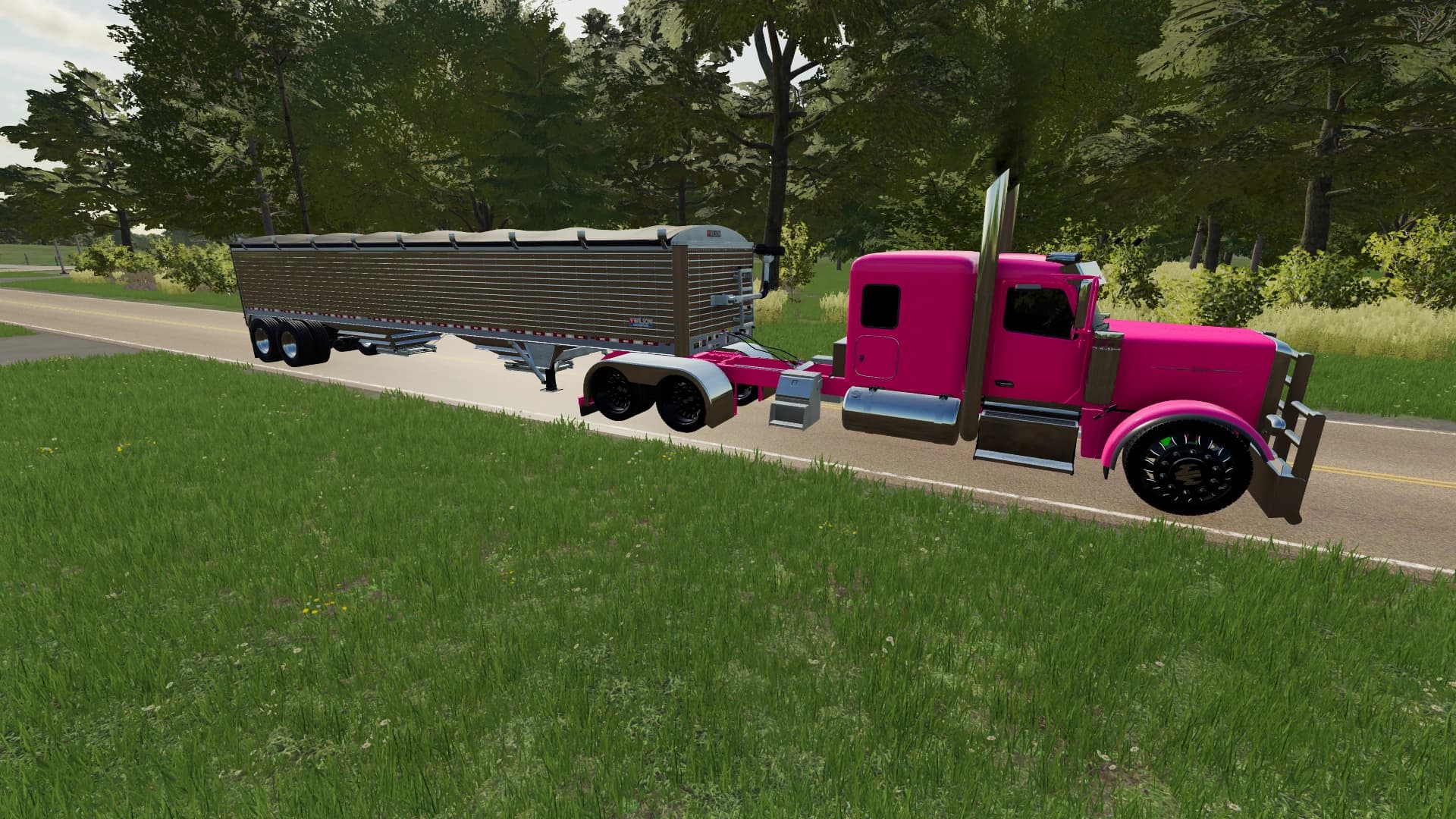 PETERBILT 589 2