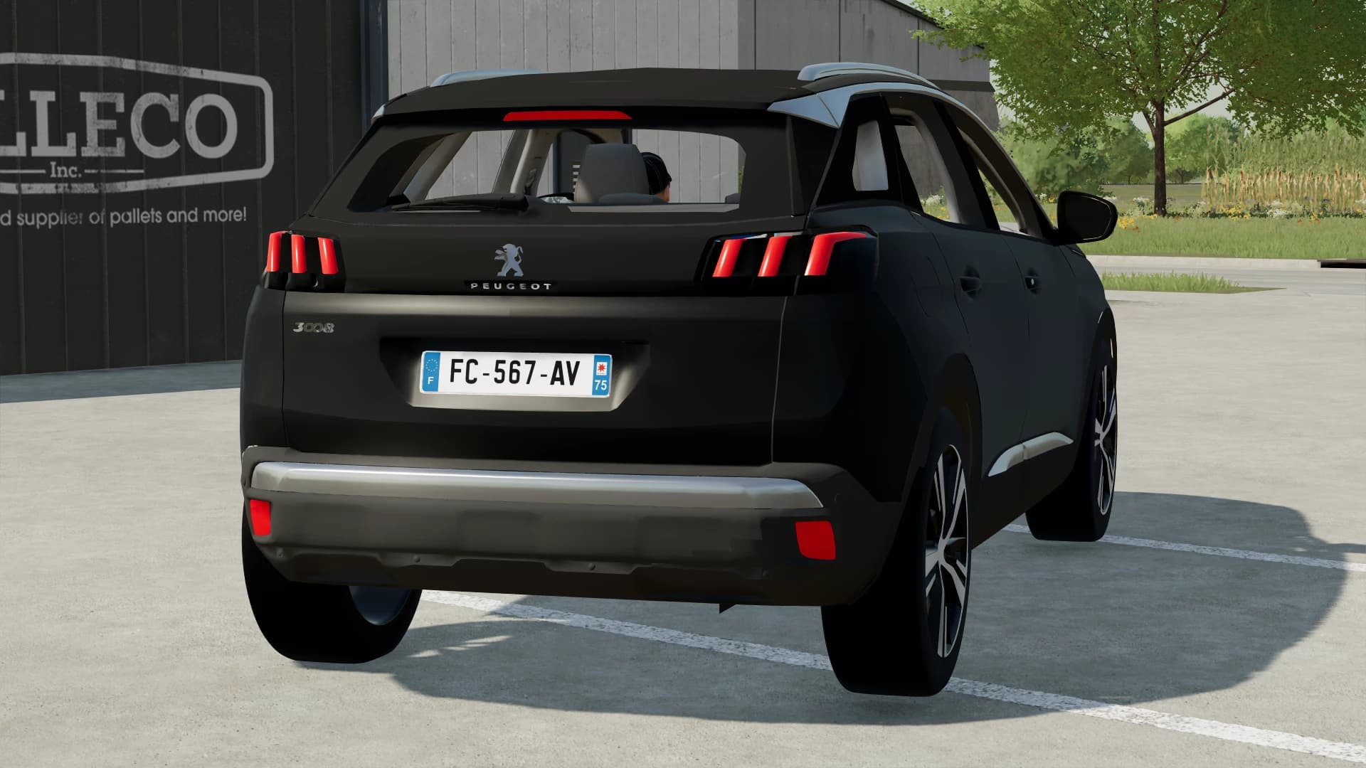 PEUGEOT 3008 4