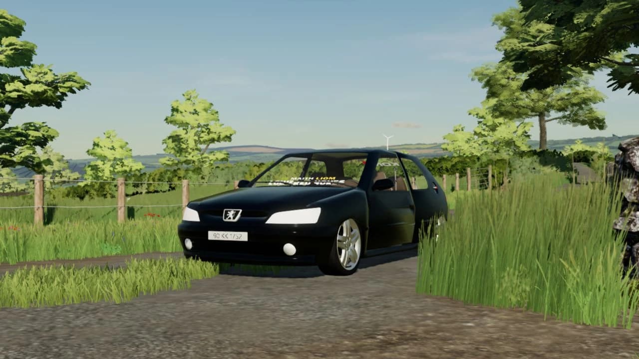 PEUGEOT 306 D-TURBO 2