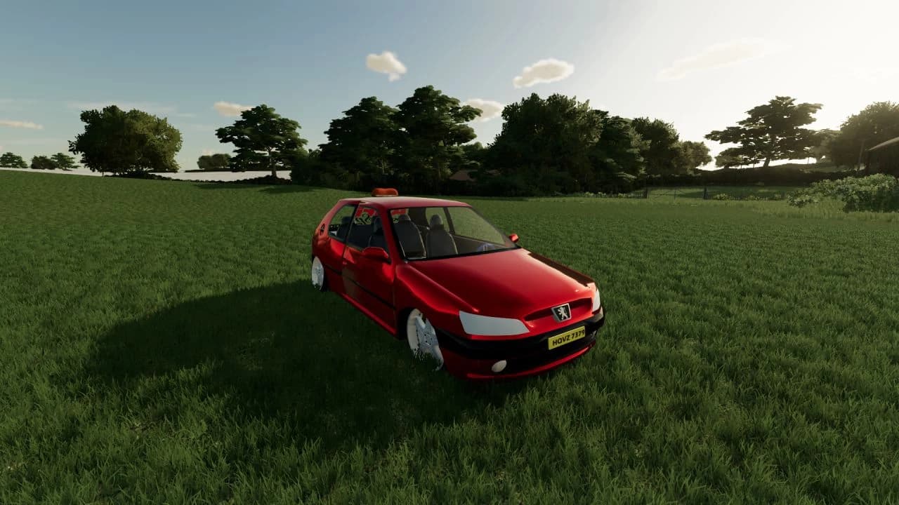 PEUGEOT 306 2