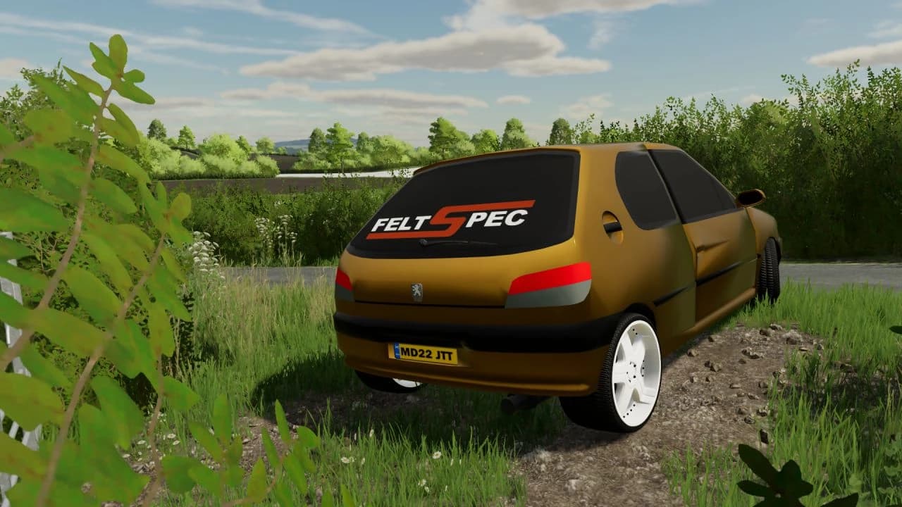 PEUGEOT 306 5